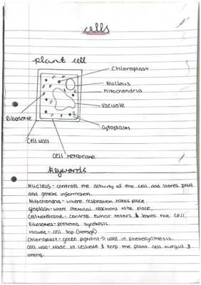 Cool Facts About Plant and Animal Cells!