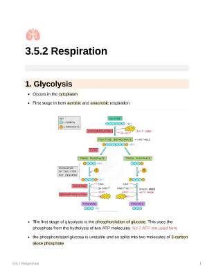 AQA A Level Biology Respiration Notes - PDF Download and Exam Questions