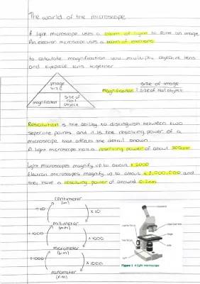 B1.1 The World Of The Microscope