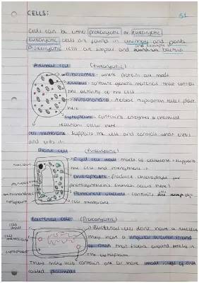 GCSE Biology Notes - B1 Paper 1 Revision for AQA Combined Science Higher Tier