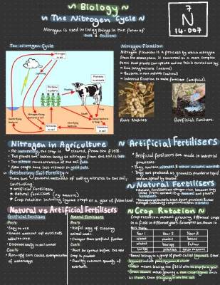 Nitrogen Cycle GCSE: Diagrams, Questions & Biology Answers