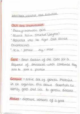 AQA Biology Inheritance, Variation, Evolution Notes for Kids