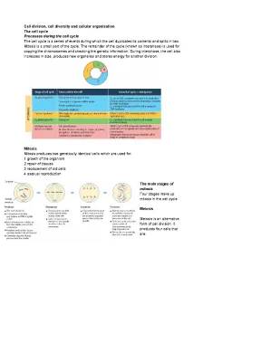 Explore the Cell Cycle: Mitosis vs. Meiosis