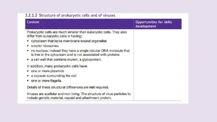 Understanding Prokaryotic and Eukaryotic Cells: What's the Difference?