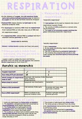 Understanding Aerobic and Anaerobic Respiration and the Role of ATP in Biology