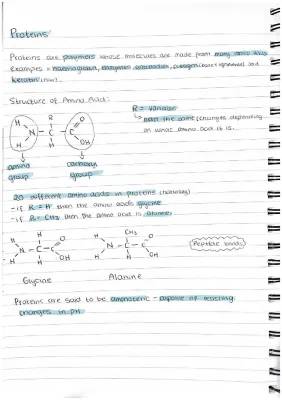 How Amino Acids Build Cool Proteins