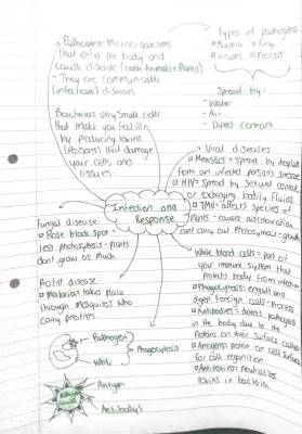 Infection and Response Mind Map for Triple Biology AQA - Part 1