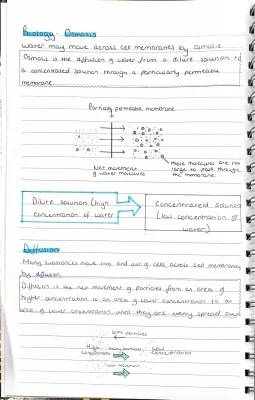 Osmosis and Diffusion: Fun Biology Notes for Kids!