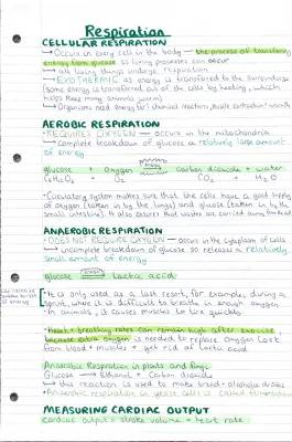 GCSE Edexcel Biology: Cellular Respiration Qs, Notes, & Answers