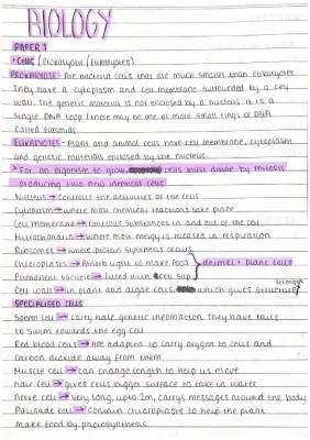 Fun with Cells: Prokaryotic vs Eukaryotic for Class 9 & 11