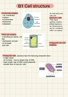 Fun Guide to Eukaryotic and Prokaryotic Cell Structures