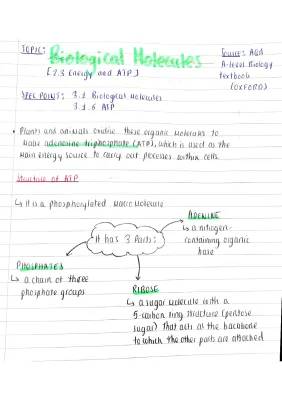 A Level Biology AQA: ATP Notes & Questions PDF