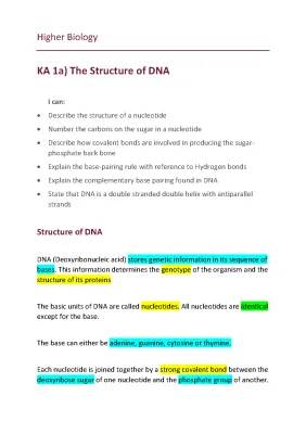 Understanding DNA Structure: Higher Biology Unit 1 Notes and Answers