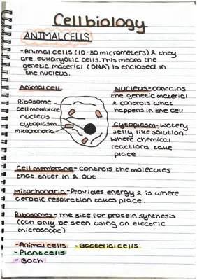 Animal and Plant Cell Diagrams: Learn 10 Differences and Similarities!