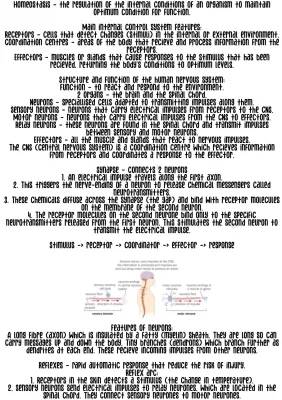 Explore the Nervous System and Homeostasis for GCSE: Fun Notes and Exam Tips!