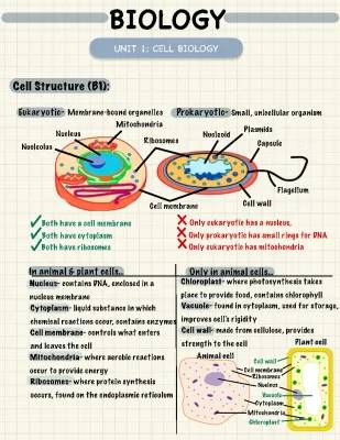 AQA GCSE Biology Unit 1 Revision Notes PDF - Free Download