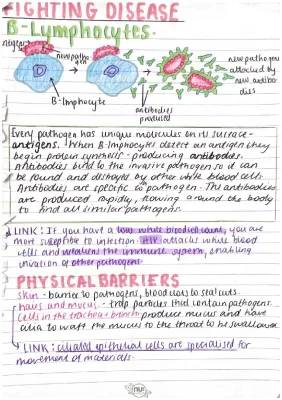 How White Blood Cells Protect Us: Lymphocytes, Phagocytes, and More - GCSE Immune System