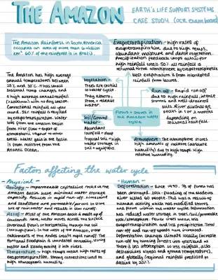 The Amazon Rainforest: Water and Carbon Cycle in Geography