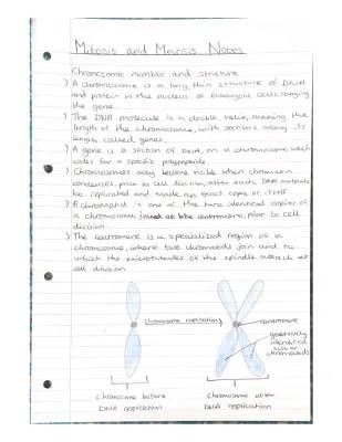 Easy Revision Notes on Mitosis and Meiosis for Eduqas A Level Biology