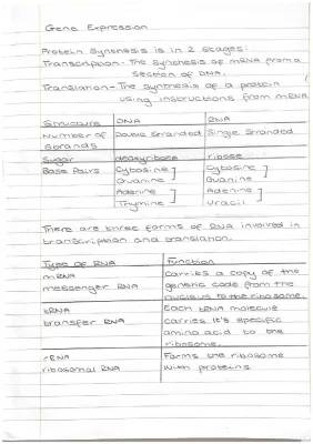 Higher Biology Gene Expression & Protein Synthesis Notes with Diagrams