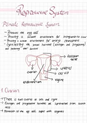 Male and Female Reproductive System Parts and Functions PDF - Easy Notes with Diagrams