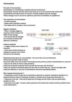 Understanding Homeostasis: How Your Body Keeps Things Balanced