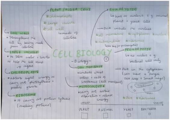 Cool Science: Plant Cell Parts and What They Do!