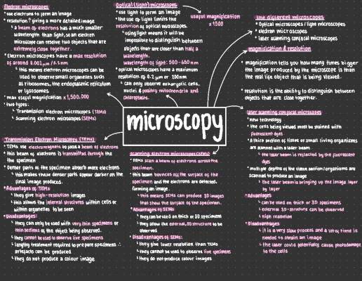 A-Level Biology Mind Maps: Microscopes and Evolution Notes