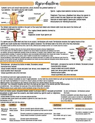 Fun GCSE Biology: Reproduction & Female System Notes