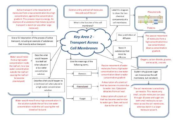 Exploring Transport: Active, Passive, and Osmosis for Kids!