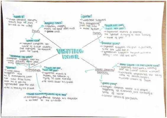 Visiting Hour by Norman MacCaig - Analysis and Summary