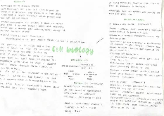 Cool Cell Biology: Easy Microscopy Methods & Cell Differences for Kids