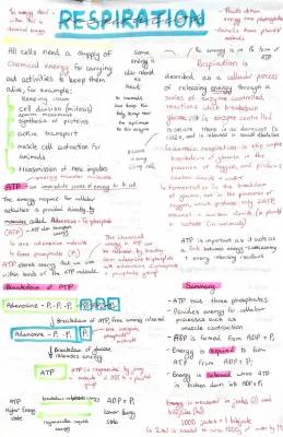 National 5 Biology: Respiration and ATP Guide 2022-2023