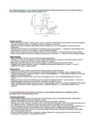 Understanding Nerve Impulse Conduction and Action Potential for Edexcel Biology A Level