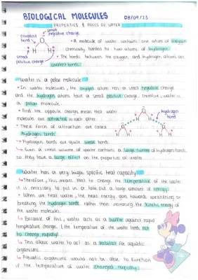 Why Water is Amazing: Cool Stuff about Water Molecules and Life