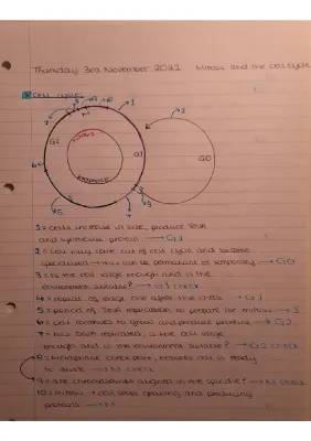 Cool Cell Cycle Study Notes: Mitosis, G1 & G2 Checkpoints!