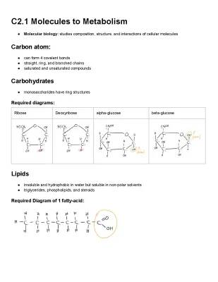 Deep Dive into IB Biology HL Chapter 2: Free Notes, Questions, and PDF