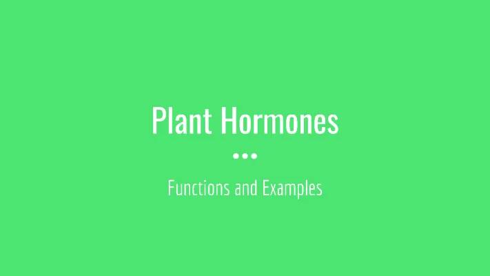 Plant Hormones