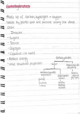 Fun with Sugars: Monosaccharides & Their Cool Reactions