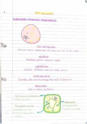 Fun with Cell Organelles: Functions for Class 9 & 10