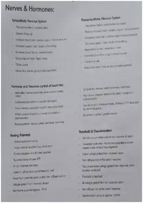 A Level Biology Nerves, Hormones & Muscles Summary 