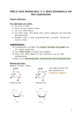 WJEC A Level Biology Unit 1.11 Biochemistry Notes PDF, Questions, and Answers 2021