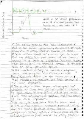 What is an Action Potential in a Neuron? Steps, Phases, and The All-or-Nothing Principle Explained