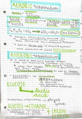 Difference Between Aerobic and Anaerobic Respiration: Equations and Examples