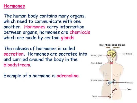 GCSE Biology: Hormones & Homeostasis Summary PDF