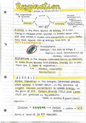 Nat 5 and A-Level Biology Notes: Respiration, Fermentation, and More