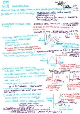 Fun with Relative Rates and Catalysts: Easy Experiments and Examples!