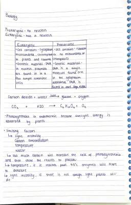 What's the Difference Between Prokaryotic and Eukaryotic Cells? Plus, How Plants Make and Store Food!