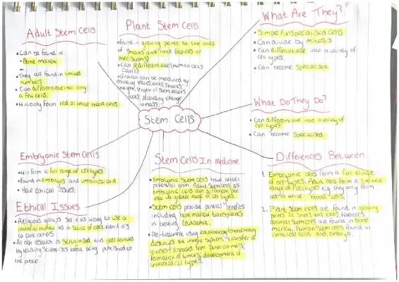 GCSE Stem Cells Mind Map and Notes PDF