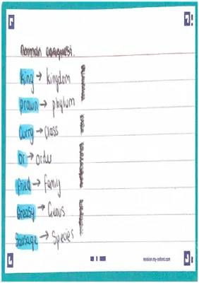 Fun Study Notes on Roman Conquest and How Plants Transport Stuff